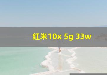 红米10x 5g 33w